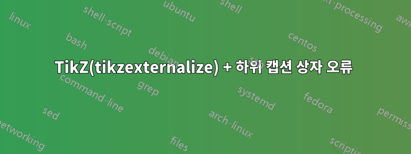 TikZ(tikzexternalize) + 하위 캡션 상자 오류