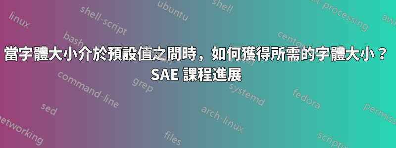 當字體大小介於預設值之間時，如何獲得所需的字體大小？ SAE 課程進展