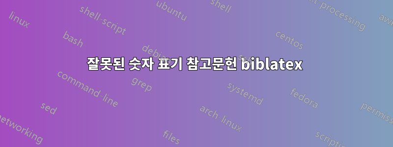 잘못된 숫자 표기 참고문헌 biblatex