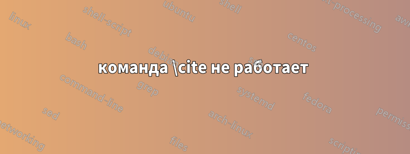 команда \cite не работает