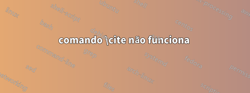 comando \cite não funciona