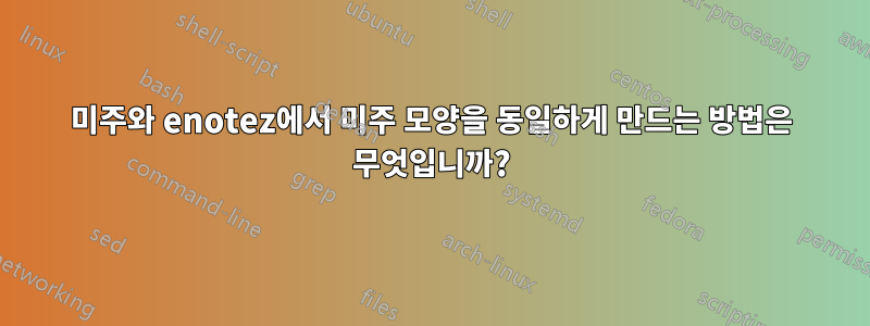 미주와 enotez에서 미주 모양을 동일하게 만드는 방법은 무엇입니까?