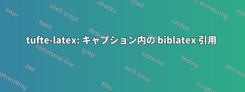 tufte-latex: キャプション内の biblatex 引用