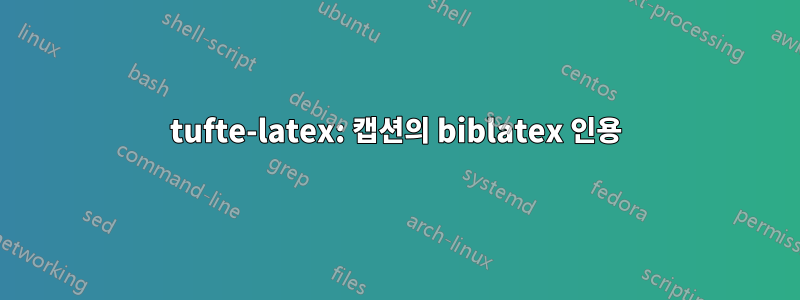 tufte-latex: 캡션의 biblatex 인용