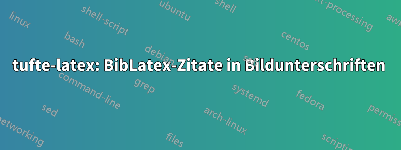 tufte-latex: BibLatex-Zitate in Bildunterschriften