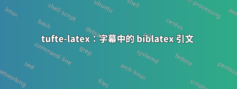 tufte-latex：字幕中的 biblatex 引文