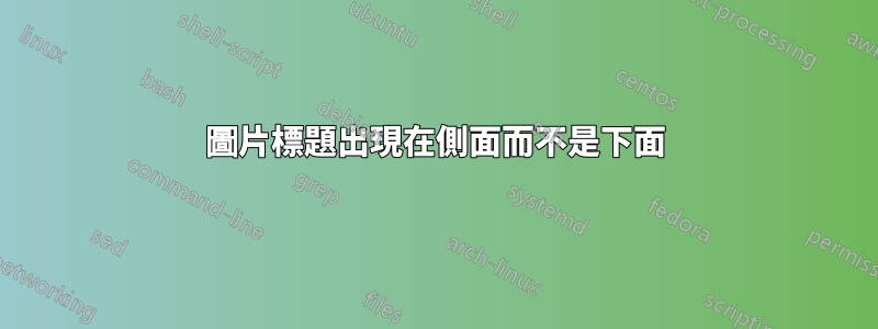 圖片標題出現在側面而不是下面