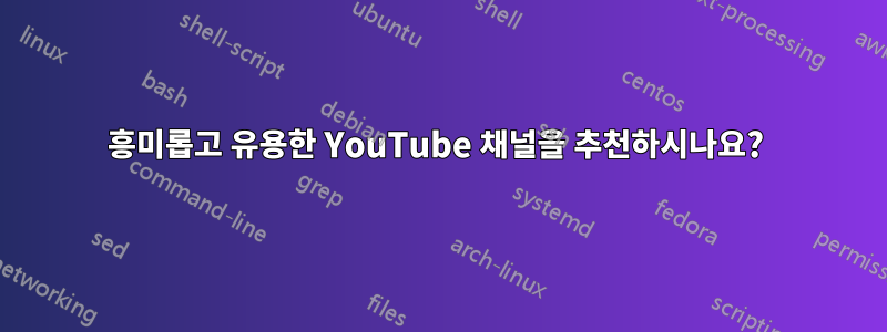 흥미롭고 유용한 YouTube 채널을 추천하시나요? 