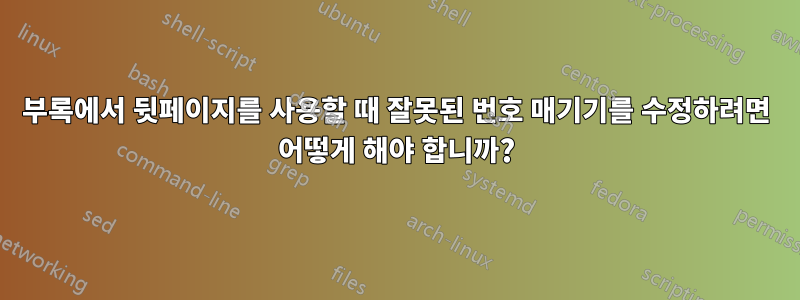 부록에서 뒷페이지를 사용할 때 잘못된 번호 매기기를 수정하려면 어떻게 해야 합니까?