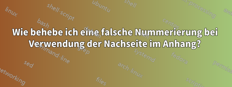 Wie behebe ich eine falsche Nummerierung bei Verwendung der Nachseite im Anhang?