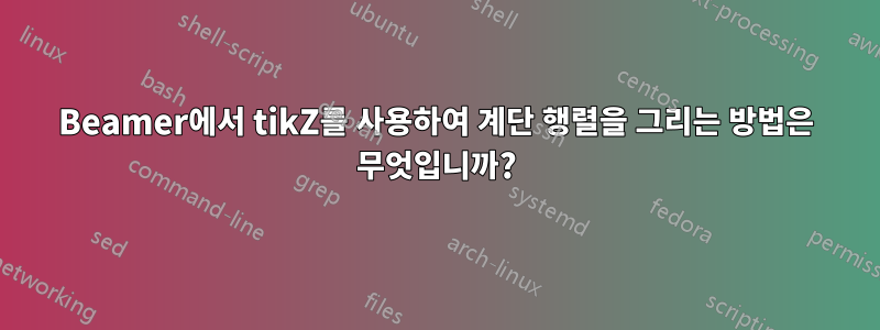 Beamer에서 tikZ를 사용하여 계단 행렬을 그리는 방법은 무엇입니까?