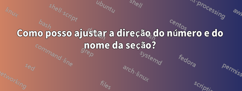 Como posso ajustar a direção do número e do nome da seção?