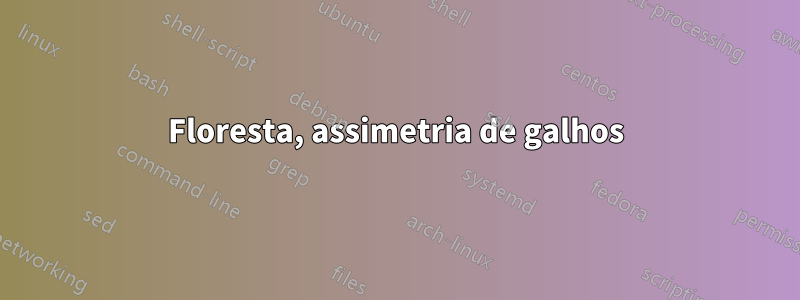 Floresta, assimetria de galhos