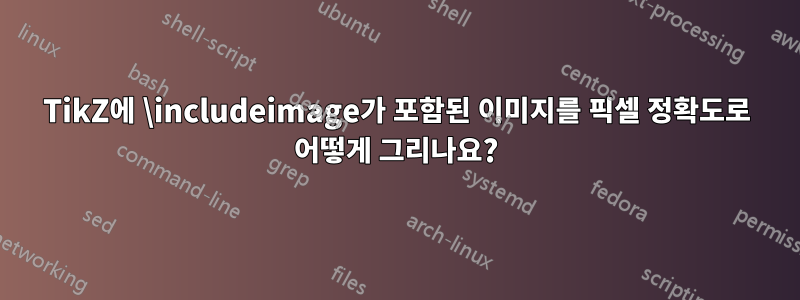 TikZ에 \includeimage가 포함된 이미지를 픽셀 정확도로 어떻게 그리나요?