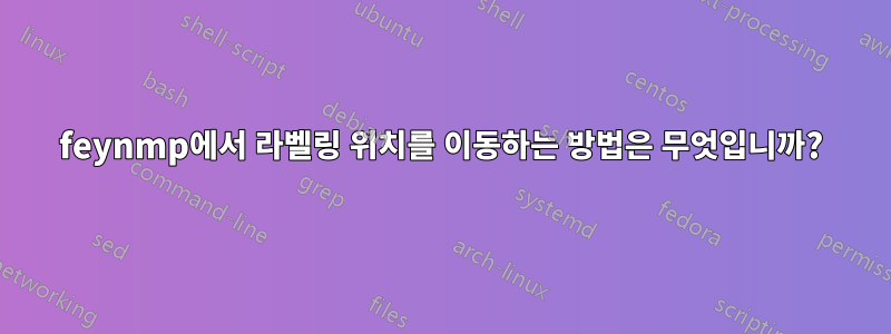 feynmp에서 라벨링 위치를 이동하는 방법은 무엇입니까?