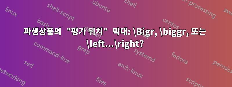 파생상품의 "평가 위치" 막대: \Bigr, \biggr, 또는 \left...\right?