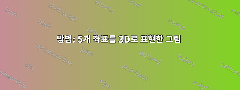 방법: 5개 좌표를 3D로 표현한 그림