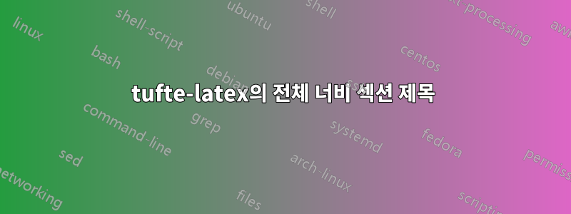 tufte-latex의 전체 너비 섹션 제목