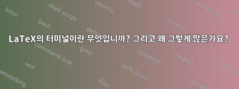 LaTeX의 터미널이란 무엇입니까? 그리고 왜 그렇게 많은가요?