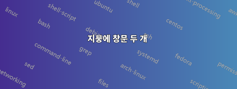 지붕에 창문 두 개