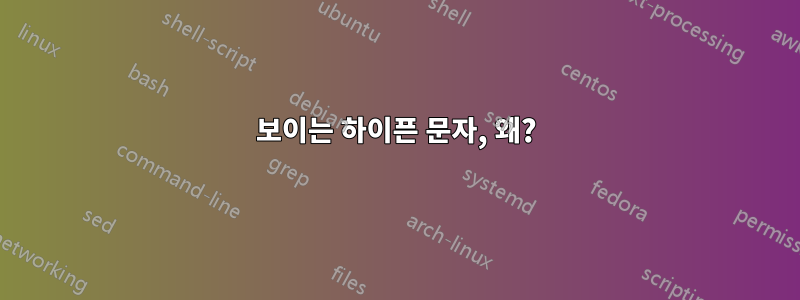 보이는 하이픈 문자, 왜?