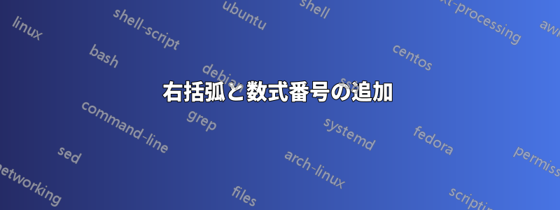 右括弧と数式番号の追加