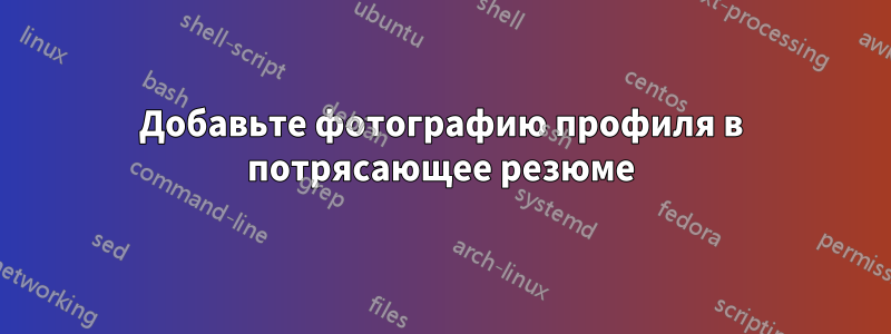 Добавьте фотографию профиля в потрясающее резюме