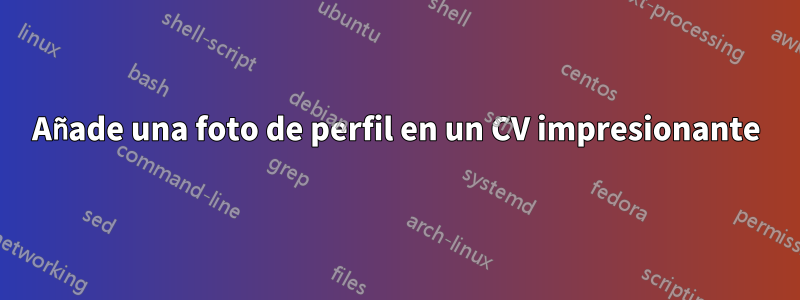 Añade una foto de perfil en un CV impresionante