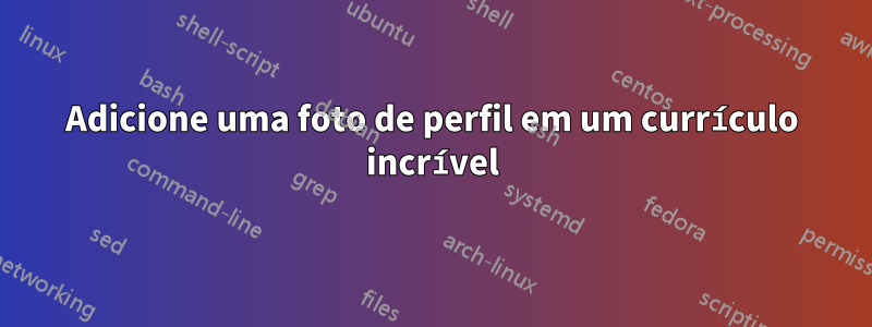 Adicione uma foto de perfil em um currículo incrível