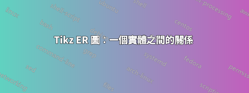 Tikz ER 圖：一個實體之間的關係