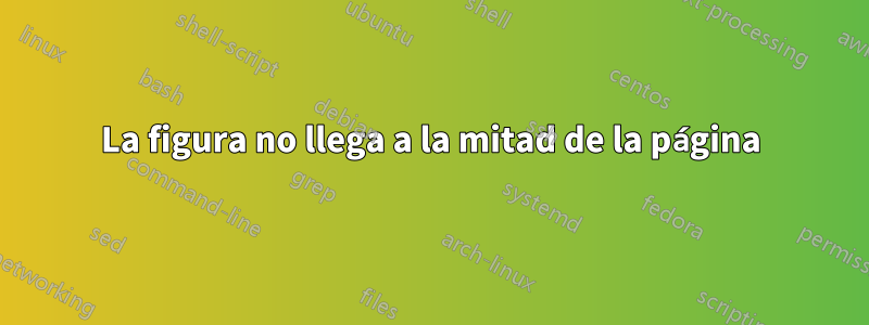 La figura no llega a la mitad de la página