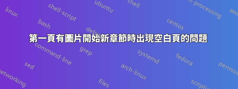 第一頁有圖片開始新章節時出現空白頁的問題