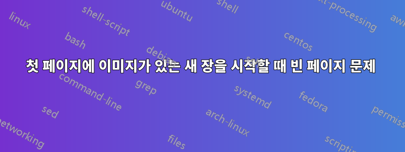 첫 페이지에 이미지가 있는 새 장을 시작할 때 빈 페이지 문제