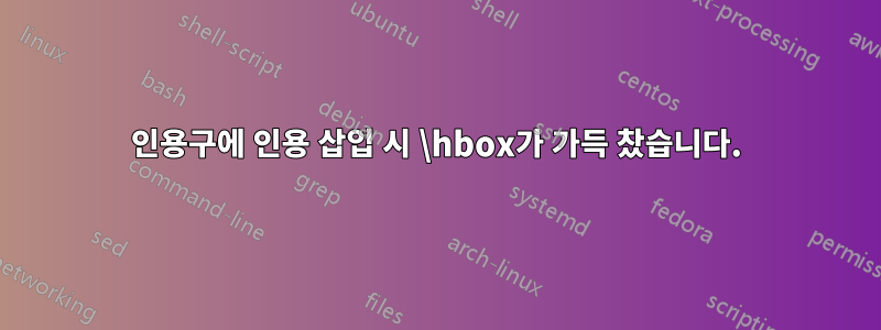 인용구에 인용 삽입 시 \hbox가 가득 찼습니다.