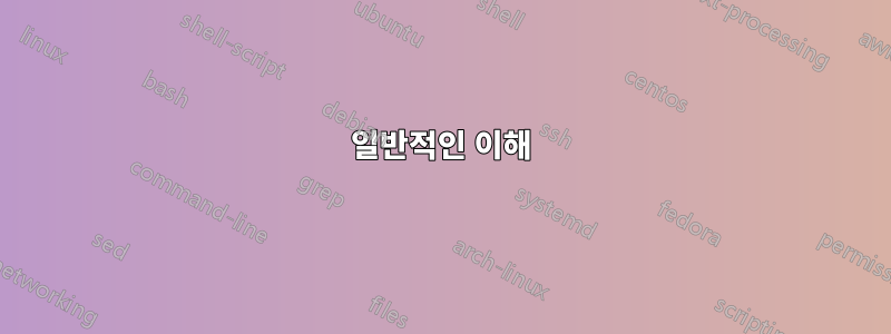 일반적인 이해