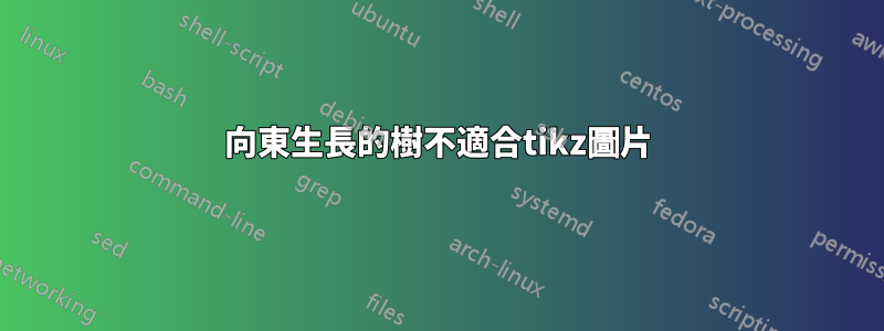 向東生長的樹不適合tikz圖片