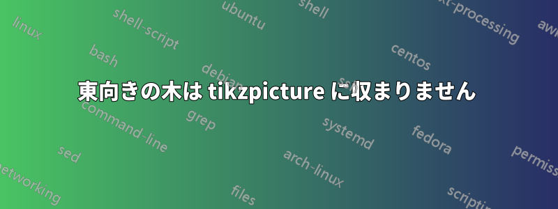 東向きの木は tikzpicture に収まりません