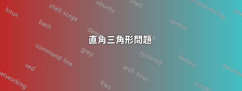 直角三角形問題