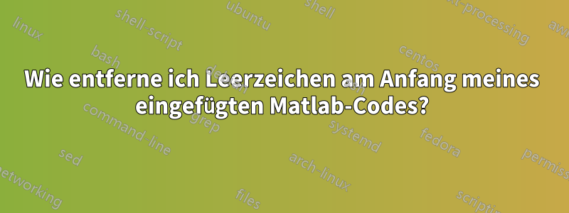 Wie entferne ich Leerzeichen am Anfang meines eingefügten Matlab-Codes?