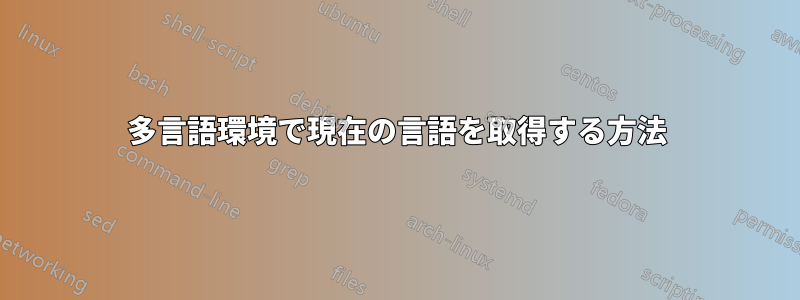 多言語環境で現在の言語を取得する方法
