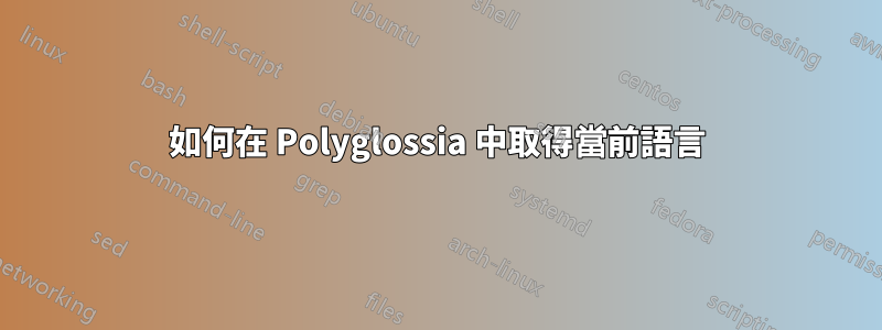 如何在 Polyglossia 中取得當前語言