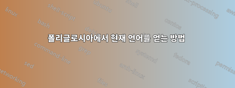 폴리글로시아에서 현재 언어를 얻는 방법