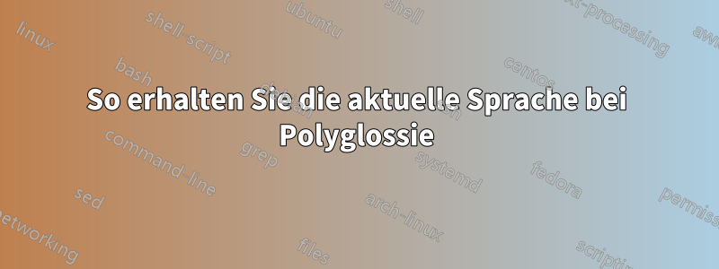 So erhalten Sie die aktuelle Sprache bei Polyglossie