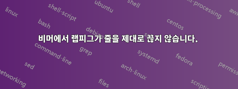 비머에서 랩피그가 줄을 제대로 끊지 않습니다.
