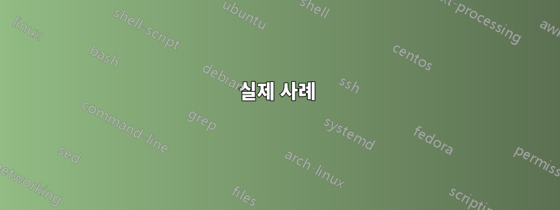 실제 사례