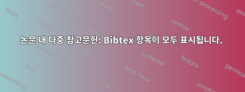 논문 내 다중 참고문헌: Bibtex 항목이 모두 표시됩니다.