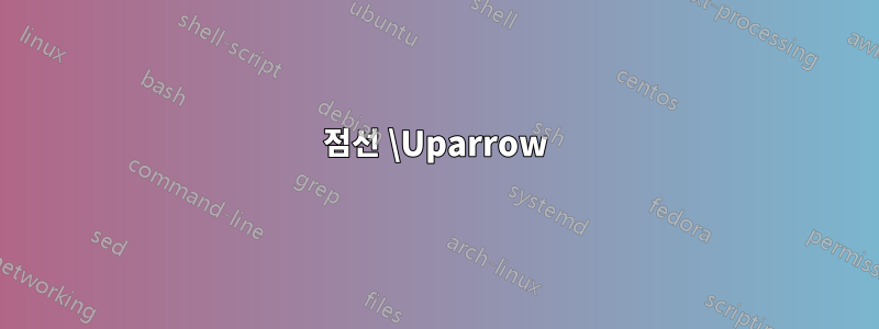 점선 \Uparrow