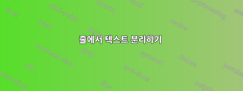 줄에서 텍스트 분리하기