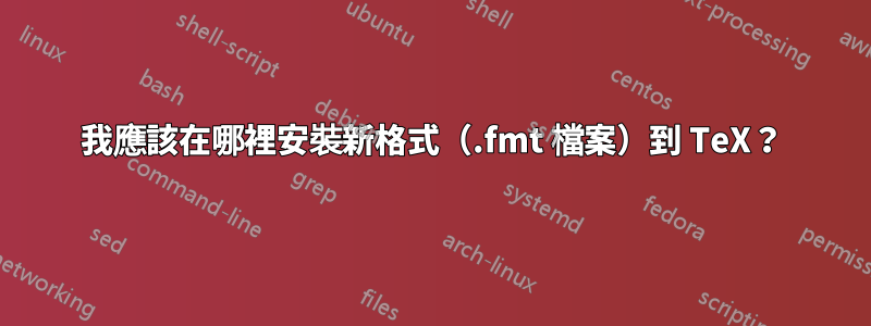 我應該在哪裡安裝新格式（.fmt 檔案）到 TeX？