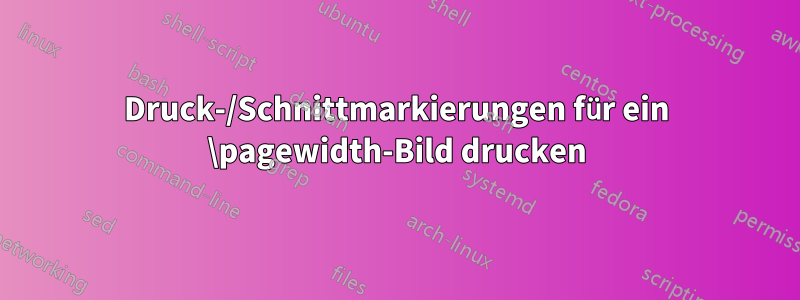 Druck-/Schnittmarkierungen für ein \pagewidth-Bild drucken